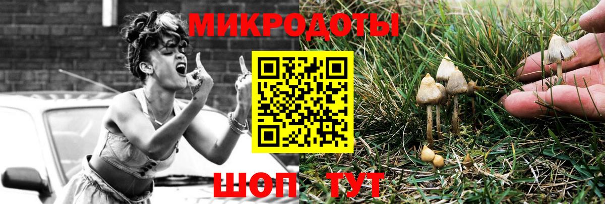 Псилоцибиновые грибы Cubensis  Вход с VPN  Киров 